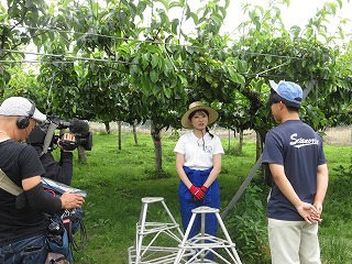 果樹班