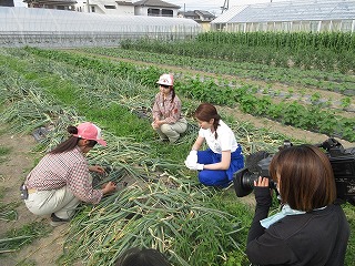 野菜班